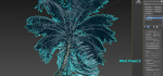 Animated Palm Trees