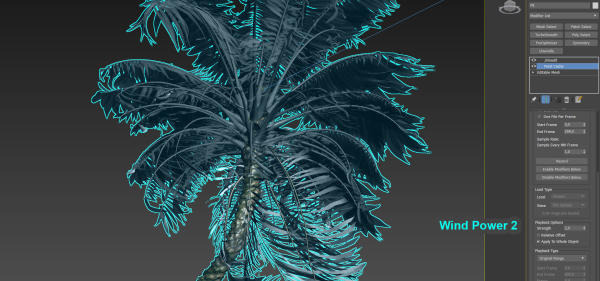 Animated Palm Trees