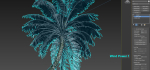Animated Palm Trees
