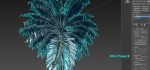 Animated Palm Trees