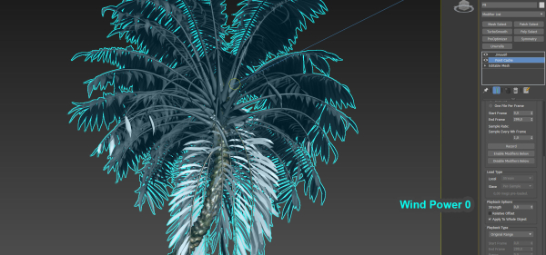Animated Palm Trees