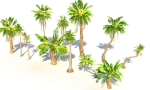 Animated Palm Trees