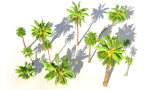 Animated Palm Trees