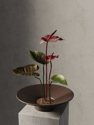 Anthurium Flower Tray