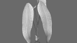 Anthurium Warocqueanum