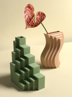 Anthurium with Geometric Vases