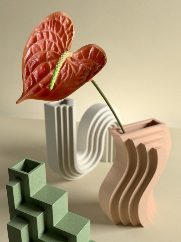 Anthurium with Geometric Vases
