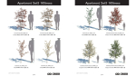 ApartmentSet5 165trees