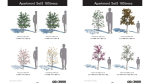 ApartmentSet5 165trees