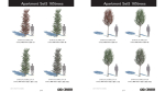 ApartmentSet5 165trees