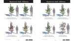 ApartmentSet5 165trees