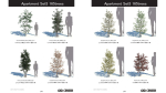 ApartmentSet5 165trees
