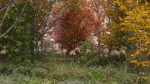 ApartmentSet5 165trees