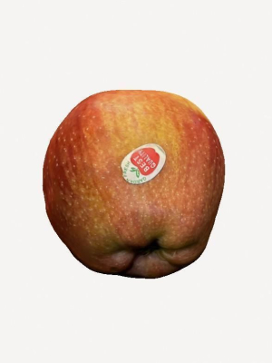 apple-3d-model-2f17d12e39
