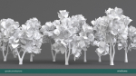 Arbutus tree LOW POLY very detailed texture