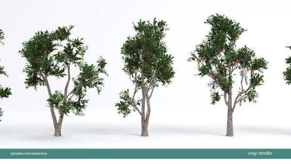 Arbutus tree LOW POLY very detailed texture