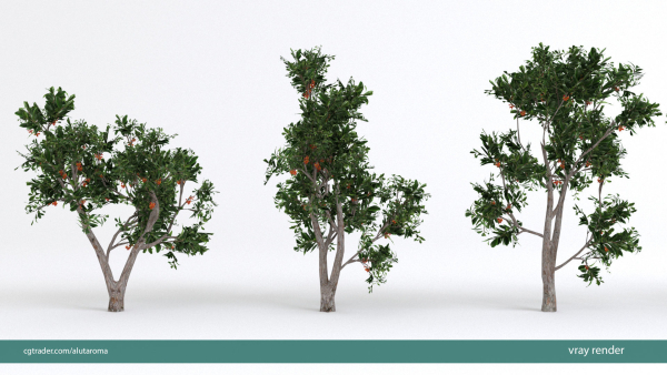 Arbutus tree LOW POLY very detailed texture