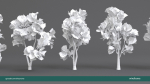 Arbutus tree LOW POLY very detailed texture