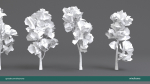 Arbutus tree LOW POLY very detailed texture