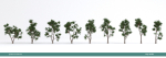 Arbutus tree LOW POLY very detailed texture