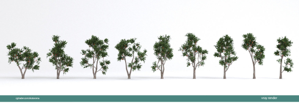 Arbutus tree LOW POLY very detailed texture