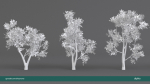 Arbutus tree LOW POLY very detailed texture
