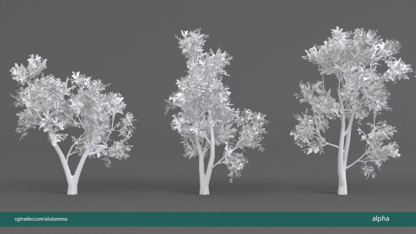 Arbutus tree LOW POLY very detailed texture