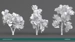 Arbutus tree LOW POLY very detailed texture