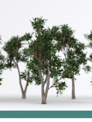 Arbutus tree LOW POLY very detailed texture