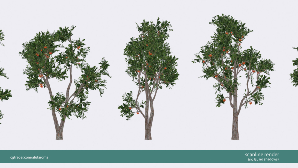 Arbutus tree LOW POLY very detailed texture