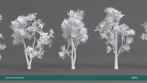 Arbutus tree LOW POLY very detailed texture