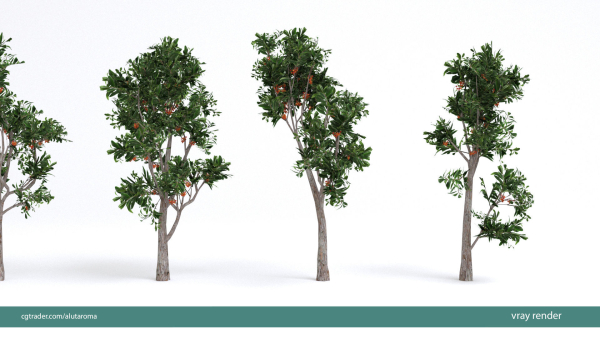 Arbutus tree LOW POLY very detailed texture