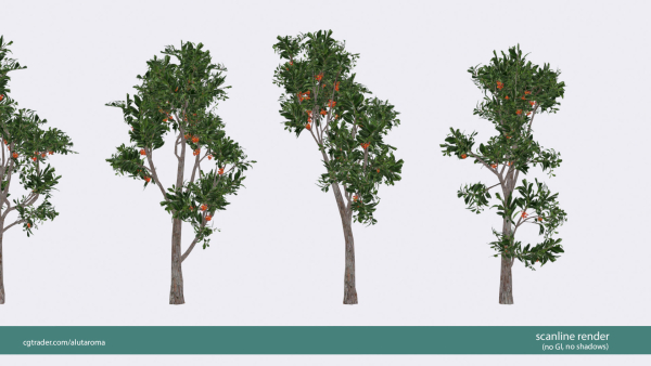 Arbutus tree LOW POLY very detailed texture