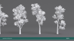 Arbutus tree LOW POLY very detailed texture