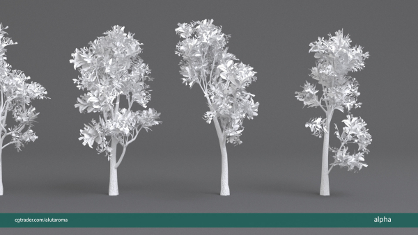 Arbutus tree LOW POLY very detailed texture