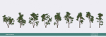 Arbutus tree LOW POLY very detailed texture