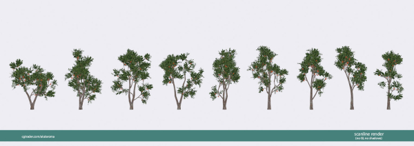 Arbutus tree LOW POLY very detailed texture