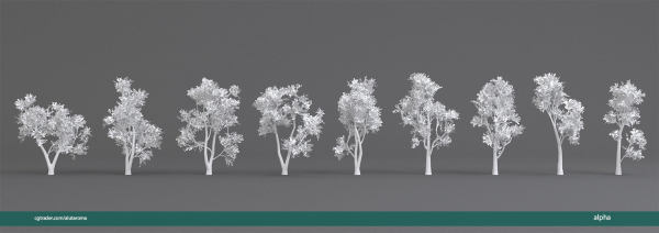 Arbutus tree LOW POLY very detailed texture