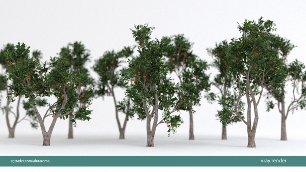 Arbutus tree LOW POLY very detailed texture