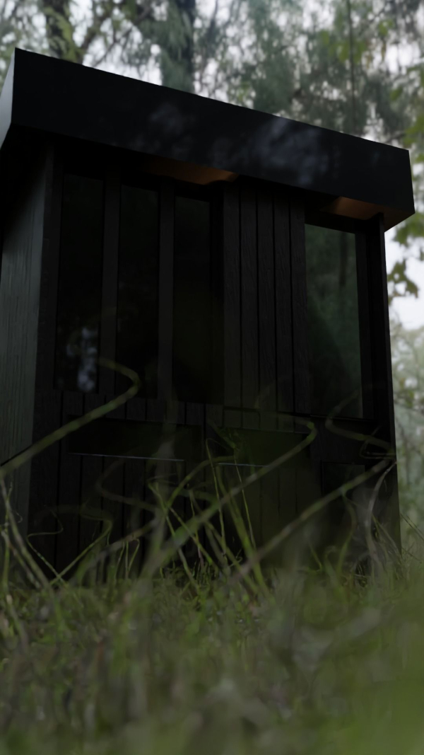 Architectural dark brown house