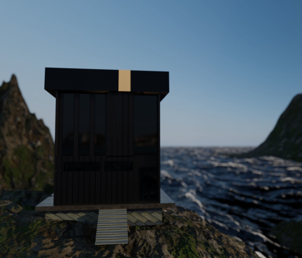 Architectural dark brown house