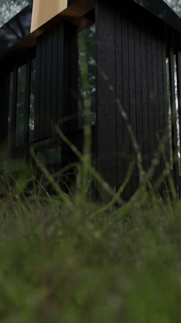 Architectural dark brown house