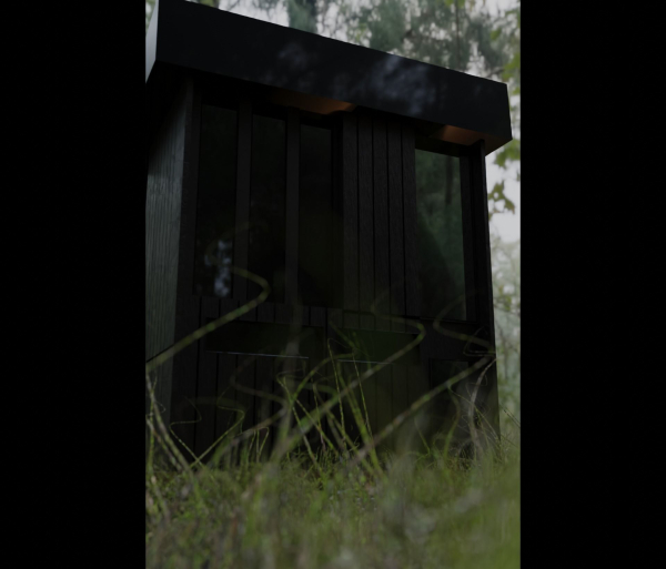 Architectural dark brown house