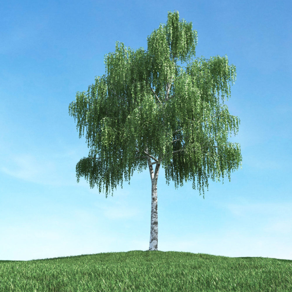 Archmodels vol 106 - Realistic Tress Collection