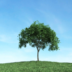 Archmodels vol 106 - Realistic Tress Collection