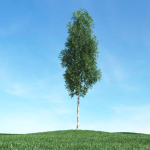 Archmodels vol 106 - Realistic Tress Collection