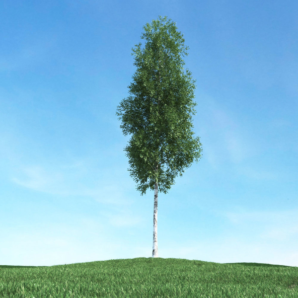Archmodels vol 106 - Realistic Tress Collection