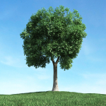 Archmodels vol 106 - Realistic Tress Collection