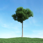 Archmodels vol 106 - Realistic Tress Collection