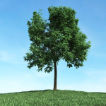 Archmodels vol 106 - Realistic Tress Collection